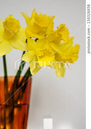 Spring floral background. Yellow fresh Daffodils in orange glass vase, over white background with copy space. Easter abstract mockup 138326856