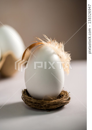 Easter holiday. White egg in a nest with a feather, bright minimalistic background 138326947