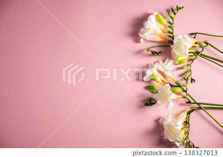 White floral spring, easter background. Freesia white flowers on pink background, flat lay with copy space 138327013