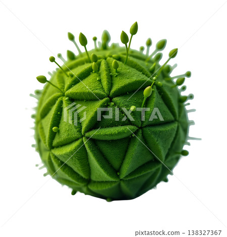 A vibrant green textured sphere adorned with small budding sprouts against a transparent background. A vibrant green textured sphere adorned with small budding sprouts against a transparent background. 138327367
