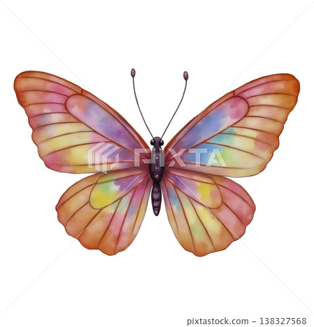 Watercolor butterfly illustration with colorful wings isolated on transparent background art. Watercolor butterfly illustration with colorful wings isolated on transparent background art. 138327568