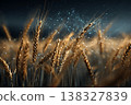 Wheat crop illuminated by intelligent farming data network in dark field 138327839
