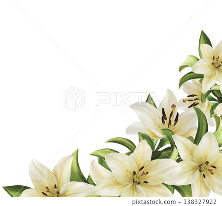 Corner floral arrangement featuring realistic white lily flowers and green leaves. Hand drawn illustration Corner floral arrangement featuring realistic white lily flowers and green leaves. Hand drawn illustration 138327922