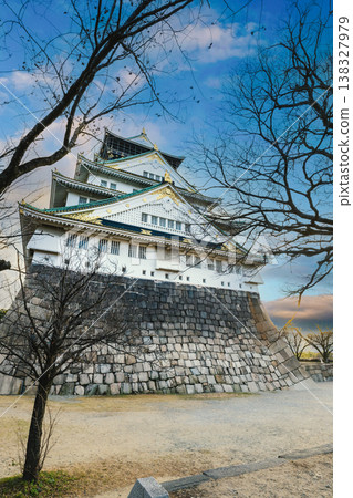 1月21日，大阪城的主塔在藍天的襯托下格外醒目。 138327979