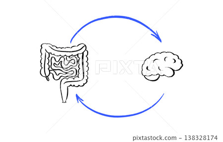 Gut Brain Connection 138328174