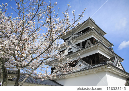 Cherry blossoms and Ozu Castle in Ozu City, Ehime Prefecture Cherry blossoms and Ozu Castle in Ozu City, Ehime Prefecture 138328243