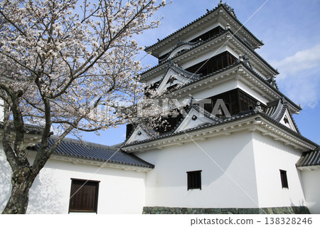 Cherry blossoms and Ozu Castle in Ozu City, Ehime Prefecture Cherry blossoms and Ozu Castle in Ozu City, Ehime Prefecture 138328246