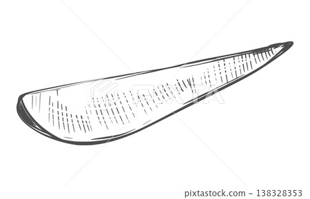 Sweet potato sketch. Vector illustration of the vegetable. A piece of unpeeled batat lies on a table. Hand drawn, imitating an engraving. Outline drawing of a yam, done in ink. Line drawing of Ipomoea Sweet potato sketch. Vector illustration of the vegetable. A piece of unpeeled batat lies on a table. Hand drawn, imitating an engraving. Outline drawing of a yam, done in ink. Line drawing of Ipomoea 138328353