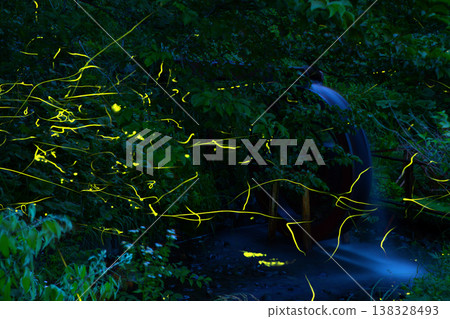 Fireflies flying near a waterwheel 138328493