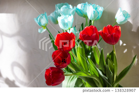 a composition of red and pale blue tulips 138328907