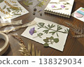 Creating botanical herbarium with pressed purple flowers and dried leaves in sketchbook. Creative workspace on wooden table with scissors, tweezers and crafting tools for DIY nature art project. 138329034
