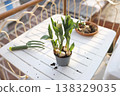 Green gardening tools and tulip bulbs in pot on sunny balcony table. Aesthetic spring planting scene captures organic urban gardening and cottagecore slow living vibes in bright morning light. 138329035