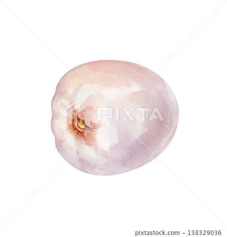 Peeled lychee fruit pulp, hand drawn watercolor illustration isolated on white background. Exotic element for tropical juice or sweets packaging 138329036