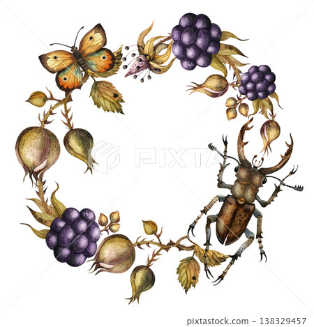 Wreath of berries, beetles, and butterflies watercolor illustration Isolated on a white background Wreath of berries, beetles, and butterflies watercolor illustration Isolated on a white background 138329457