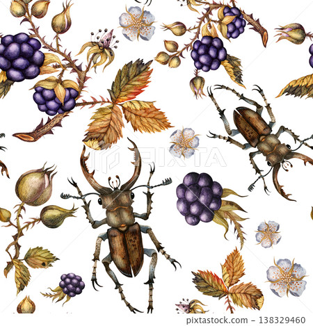 Pattern of blackberries and beetles. Watercolor pattern illustration Isolated on a white background 138329460