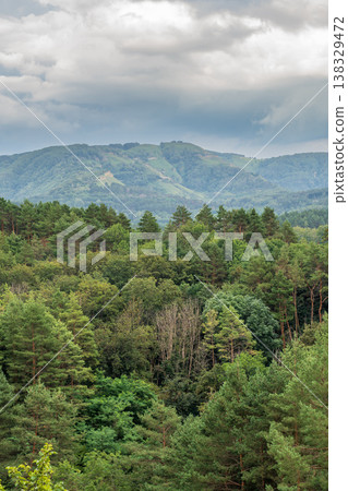 Summer Mountains Landscape with Green forest. Summer Mountains Landscape with Green forest. 138329472