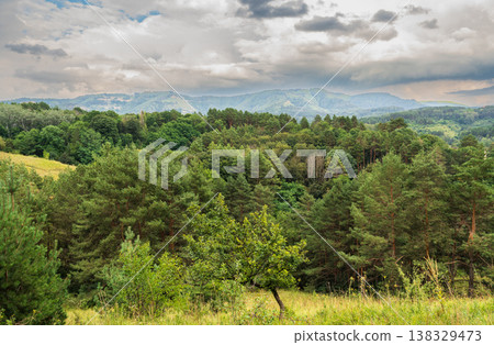 Summer Mountains Landscape with Green forest. Summer Mountains Landscape with Green forest. 138329473