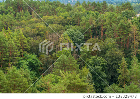 Summer Mountains Landscape with Green forest. 138329478