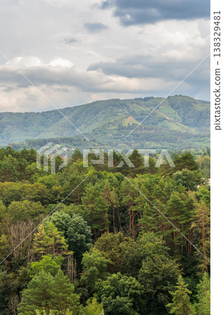 Summer Mountains Landscape with Green forest. Summer Mountains Landscape with Green forest. 138329481