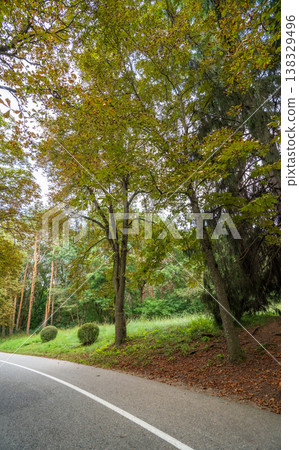 Evening atmosphere on the route full of Trees and red and green leaves Evening atmosphere on the route full of Trees and red and green leaves 138329496