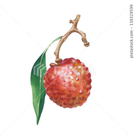 Red lychee fruit on a branch with green leaf, watercolor illustration isolated on white background. Element for summer food or drink design. 138329599
