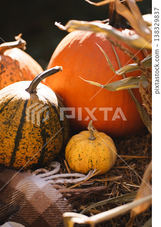 Cozy Farm Harvest Setting with Pumpkins and Hay Cozy Farm Harvest Setting with Pumpkins and Hay 138329837