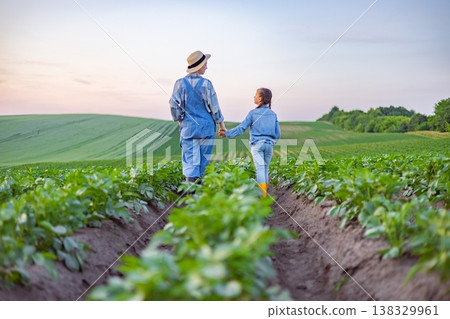 A farmer and a young child walk hand-in-hand through a lush green field of crops at sunset, symbolizing generational connection and agricultural heritage A farmer and a young child walk hand-in-hand through a lush green field of crops at sunset, symbolizing generational connection and agricultural heritage 138329961