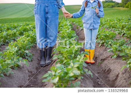 A farmer and a child hold hands while walking through rows of green crops in a field A farmer and a child hold hands while walking through rows of green crops in a field 138329968