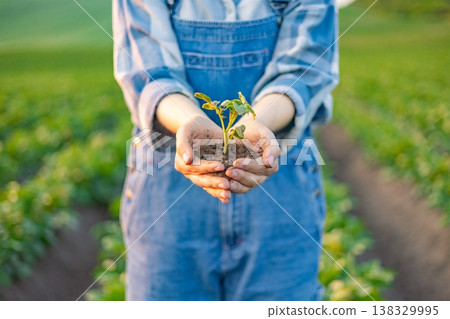 A person in denim overalls holds a small green seedling with soil in their cupped hands, symbolizing growth and agriculture A person in denim overalls holds a small green seedling with soil in their cupped hands, symbolizing growth and agriculture 138329995