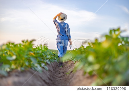 A farmer wearing overalls and a hat walks through a field of young potato plants, holding a tablet device A farmer wearing overalls and a hat walks through a field of young potato plants, holding a tablet device 138329998