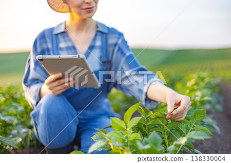 A woman in overalls and a hat uses a tablet computer while inspecting crops in a sunlit field at sunset A woman in overalls and a hat uses a tablet computer while inspecting crops in a sunlit field at sunset 138330004