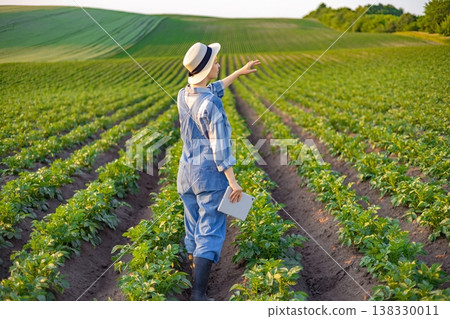 A woman in overalls and a hat stands in a vast potato field, holding a tablet and pointing towards the horizon A woman in overalls and a hat stands in a vast potato field, holding a tablet and pointing towards the horizon 138330011