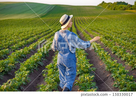 A woman in overalls and a hat walks through rows of potato plants, examining the crop during golden hour A woman in overalls and a hat walks through rows of potato plants, examining the crop during golden hour 138330017