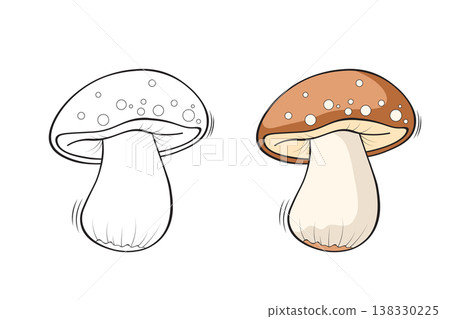 Mushroom outline and colored version side by side, hand drawn fungi vector illustration for coloring book pages Mushroom outline and colored version side by side, hand drawn fungi vector illustration for coloring book pages 138330225