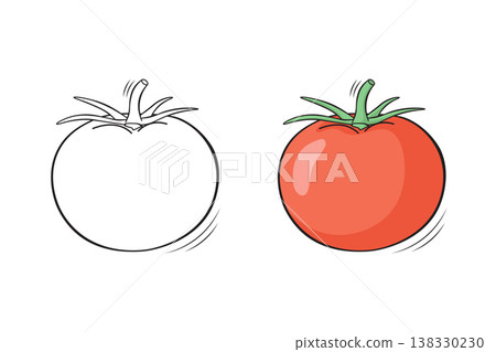 Tomato outline and colored version side by side, hand drawn vegetable vector illustration for coloring book pages Tomato outline and colored version side by side, hand drawn vegetable vector illustration for coloring book pages 138330230