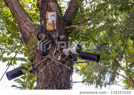 Security cameras and floodlights mounted on tree outdoors Security cameras and floodlights mounted on tree outdoors 138331038