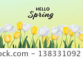 Spring Tulips Banner with copy space 138331092