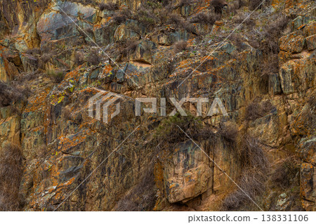 Rocks and plants in rugged mountainous outdoor setting Rocks and plants in rugged mountainous outdoor setting 138331106