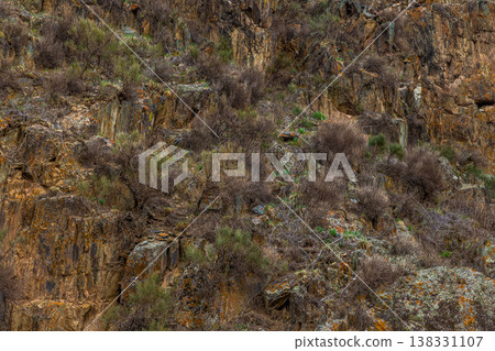 Rugged hillside with diverse plants and rocks in dry terrain 138331107