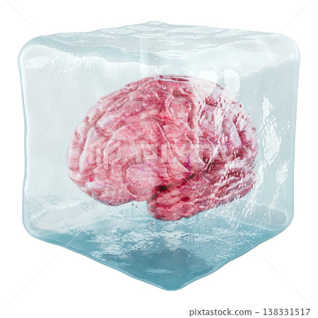 Human brain inside ice cube. 3D rendering Human brain inside ice cube. 3D rendering 138331517