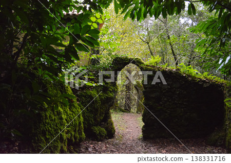 A forest path, blocked by a fallen tree, forms a natural arch over a narrow trail in Busaco Park, Portugal. Themes: sustainability, obstacles, and harmony between nature and humankind. A forest path, blocked by a fallen tree, forms a natural arch over a narrow trail in Busaco Park, Portugal. Themes: sustainability, obstacles, and harmony between nature and humankind. 138331716