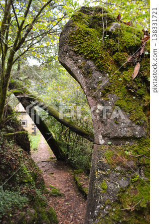 A forest path, blocked by a fallen tree, forms a natural arch over a narrow trail in Busaco Park, Portugal. Themes: sustainability, obstacles, and harmony between nature and humankind. A forest path, blocked by a fallen tree, forms a natural arch over a narrow trail in Busaco Park, Portugal. Themes: sustainability, obstacles, and harmony between nature and humankind. 138331721