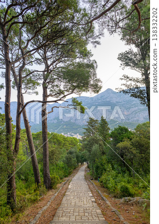 Stone-paved path through lush pine forest leading toward Makarska town in Croatia with Biokovo mountain in the background Stone-paved path through lush pine forest leading toward Makarska town in Croatia with Biokovo mountain in the background 138332202