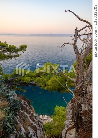 Cliffside pine trees overlooking calm sea at sunset 138332208