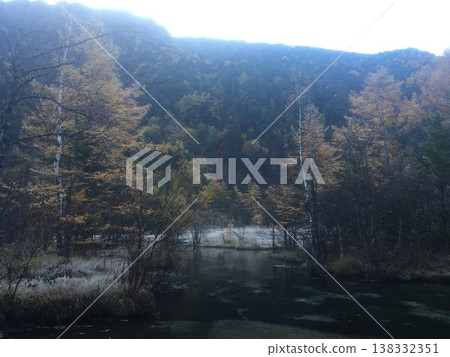 misty autumn leaves forest misty autumn leaves forest 138332351
