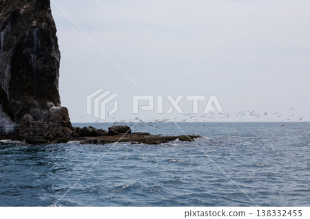 太島與黑尾鷗（青森縣陸奧灣） 138332455