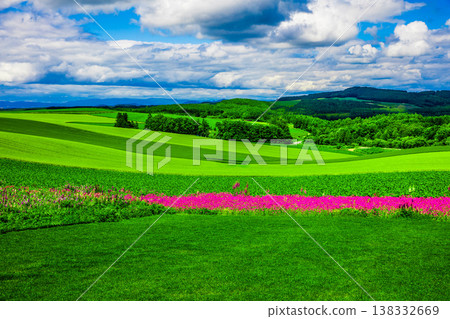 beautiful flower hill beautiful flower hill 138332669