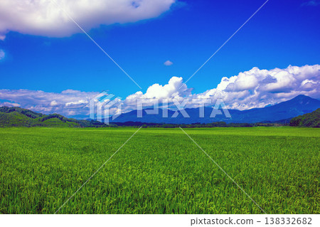 夏日鄉村風景與藍天 138332682