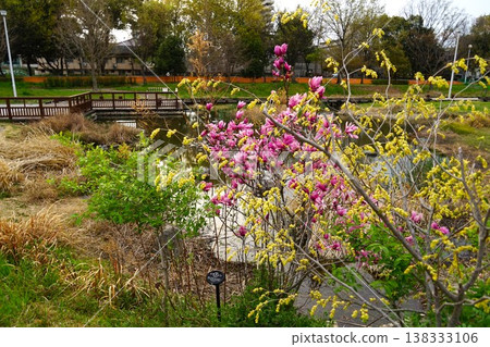 Scenery of Kyuhoji Green Park Scenery of Kyuhoji Green Park 138333106