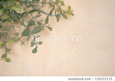 Wood grain and eucalyptus background photo with space for copying Wood grain and eucalyptus background photo with space for copying 138333135